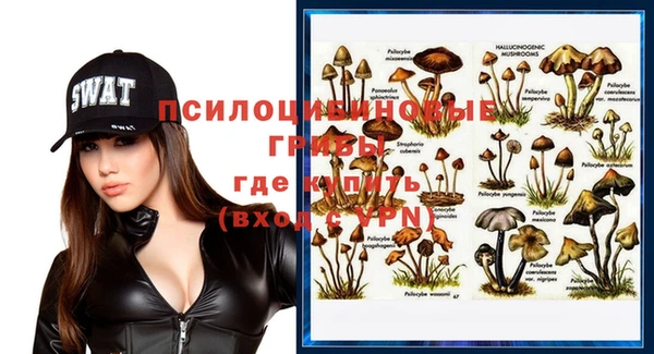 кокс Пестово