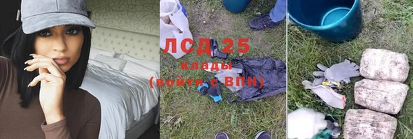 круглые Пересвет