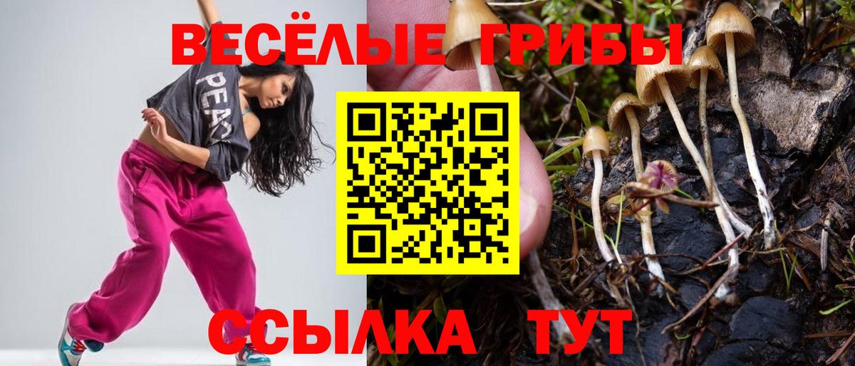 Галлюциногенные грибы Magic Shrooms  Вход с VPN  Ртищево 